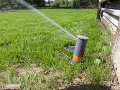 Rasen – Bewässerung | deingruen.de