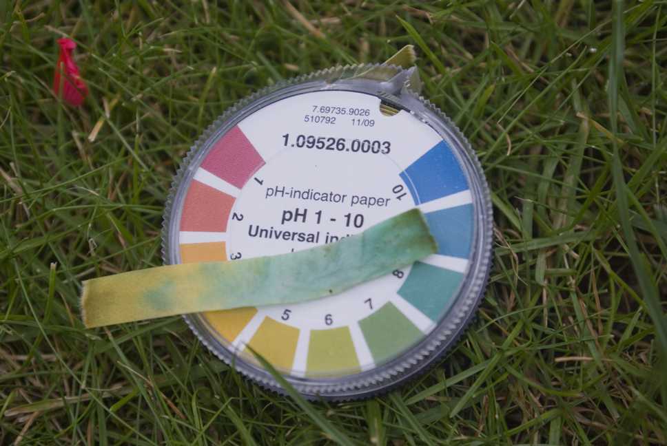 Rasen düngen - Die Grundlagen | deingruen.de