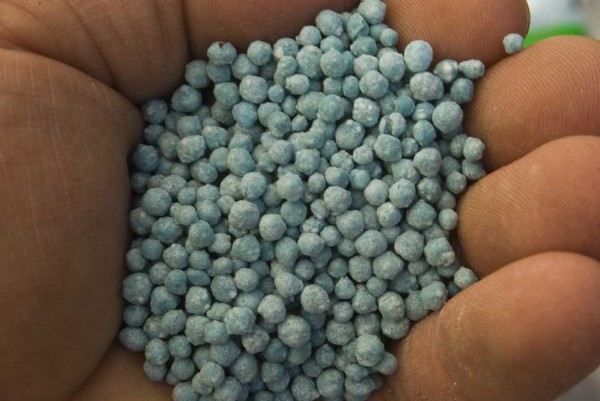 Rasen düngen - Die Praxis | deingruen.de