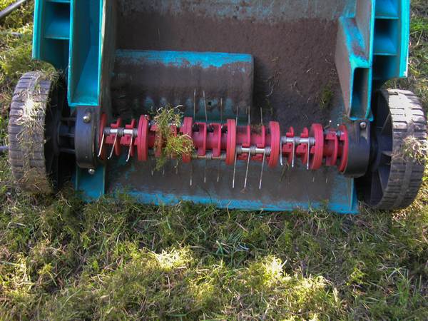 Rasen lüften | deingruen.de